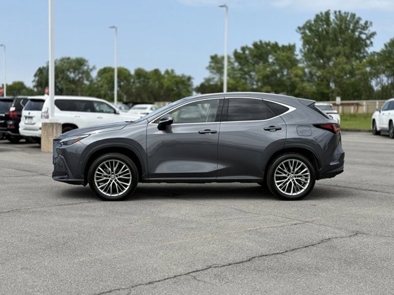 Certified 2024 Lexus NX 300h AWD w/ Vision Package image 1
