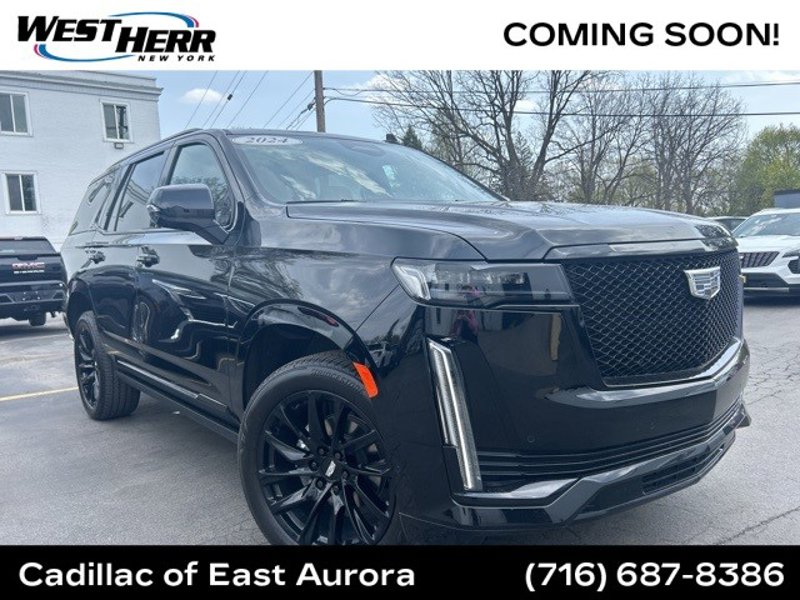 Certified 2024 Cadillac Escalade Sport w/ LPO, ONYX Package image 1
