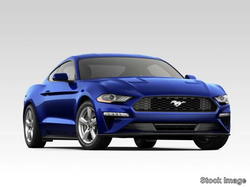 Certified 2022 Ford Mustang GT w/ Equipment Group 301A image 1