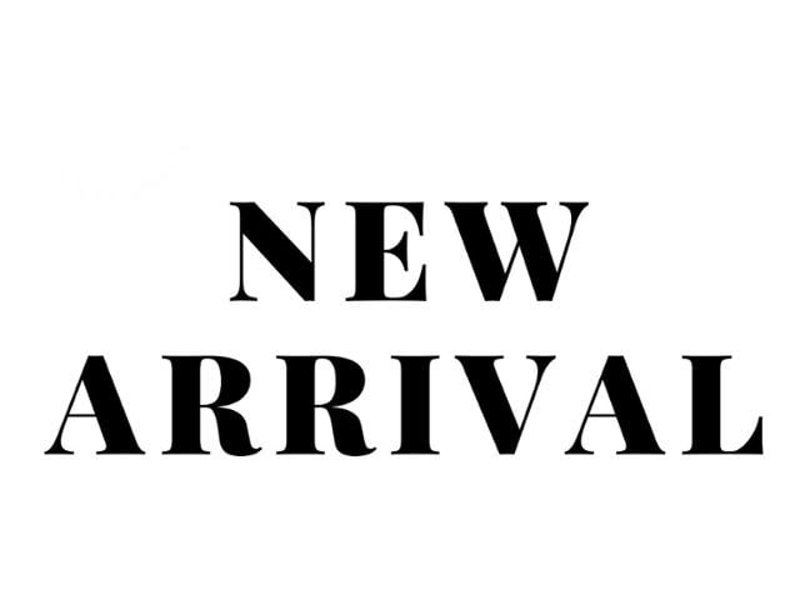 Used 2017 Volkswagen Passat 1.8T SEL Premium image 1