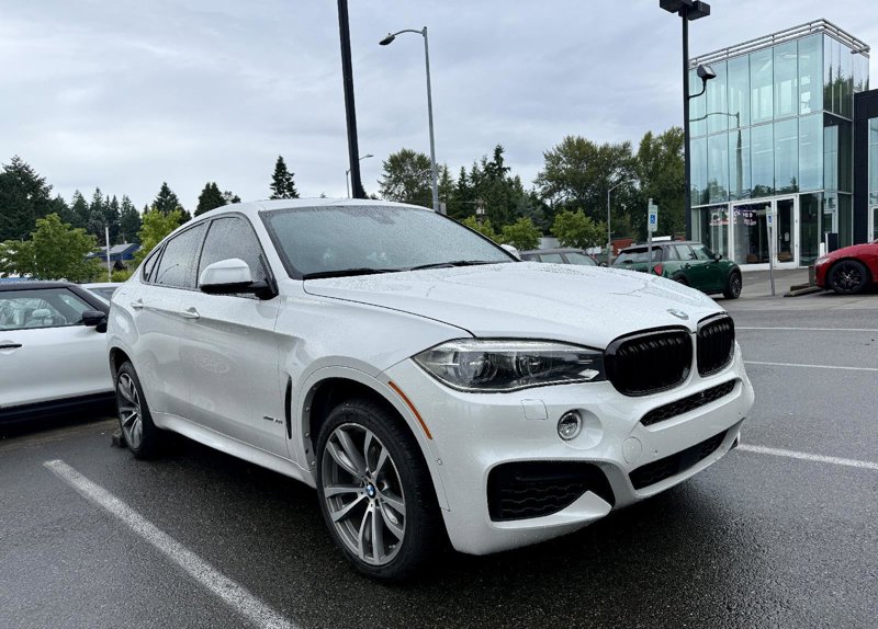 Used 2017 BMW X6 xDrive50i image 1