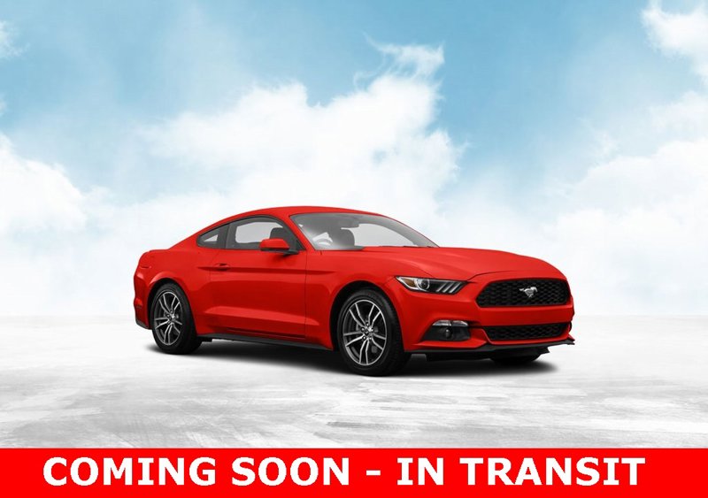Used 2016 Ford Mustang Coupe w/ Equipment Group 051A image 1