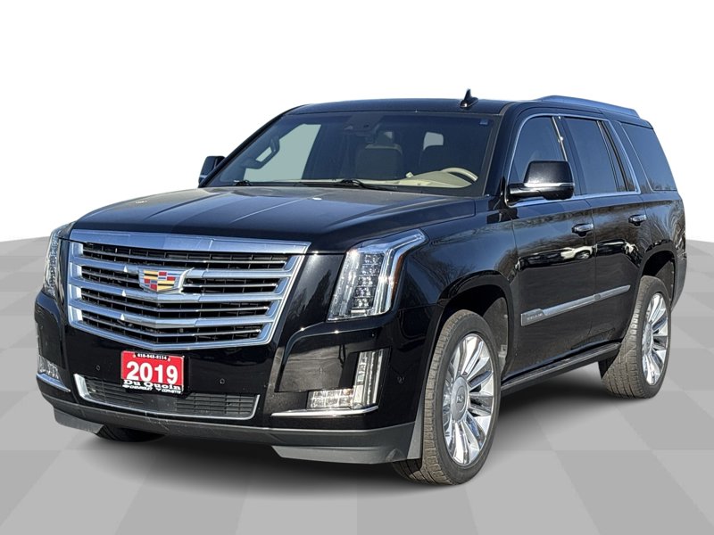 Certified 2019 Cadillac Escalade Platinum image 1