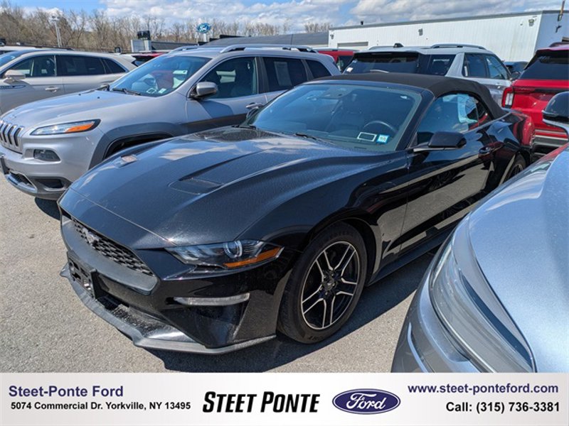 Used 2021 Ford Mustang Premium image 1