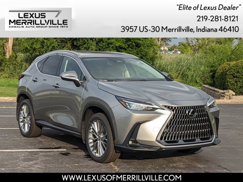 Certified 2025 Lexus NX 350h AWD w/ Cold Area Package image 1