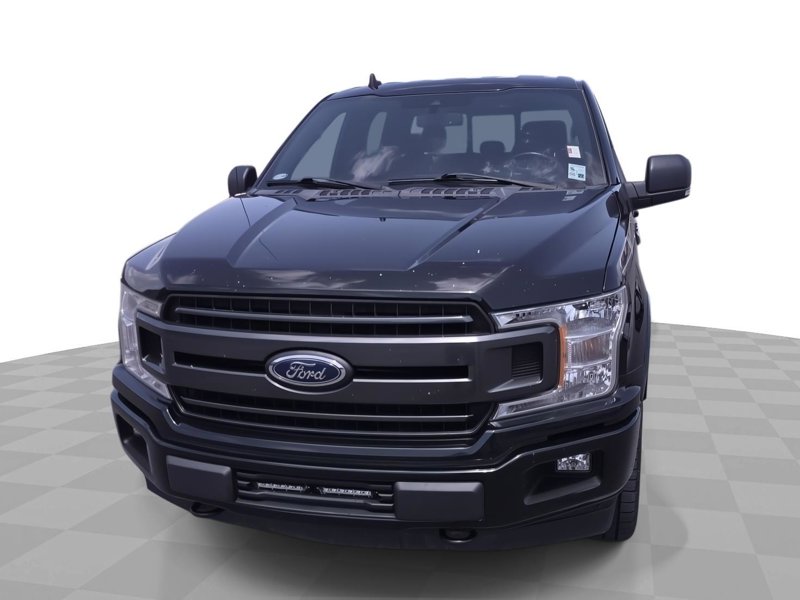 Used 2019 Ford F150 XLT w/ Equipment Group 302A Luxury image 1