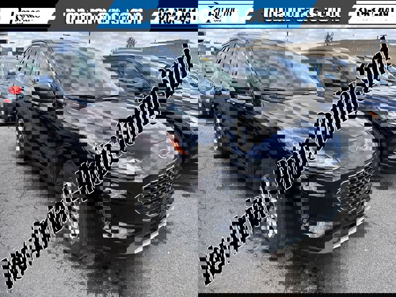 Used 2022 Ford Escape SE w/ Cold Weather Package image 1